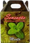 fio menta